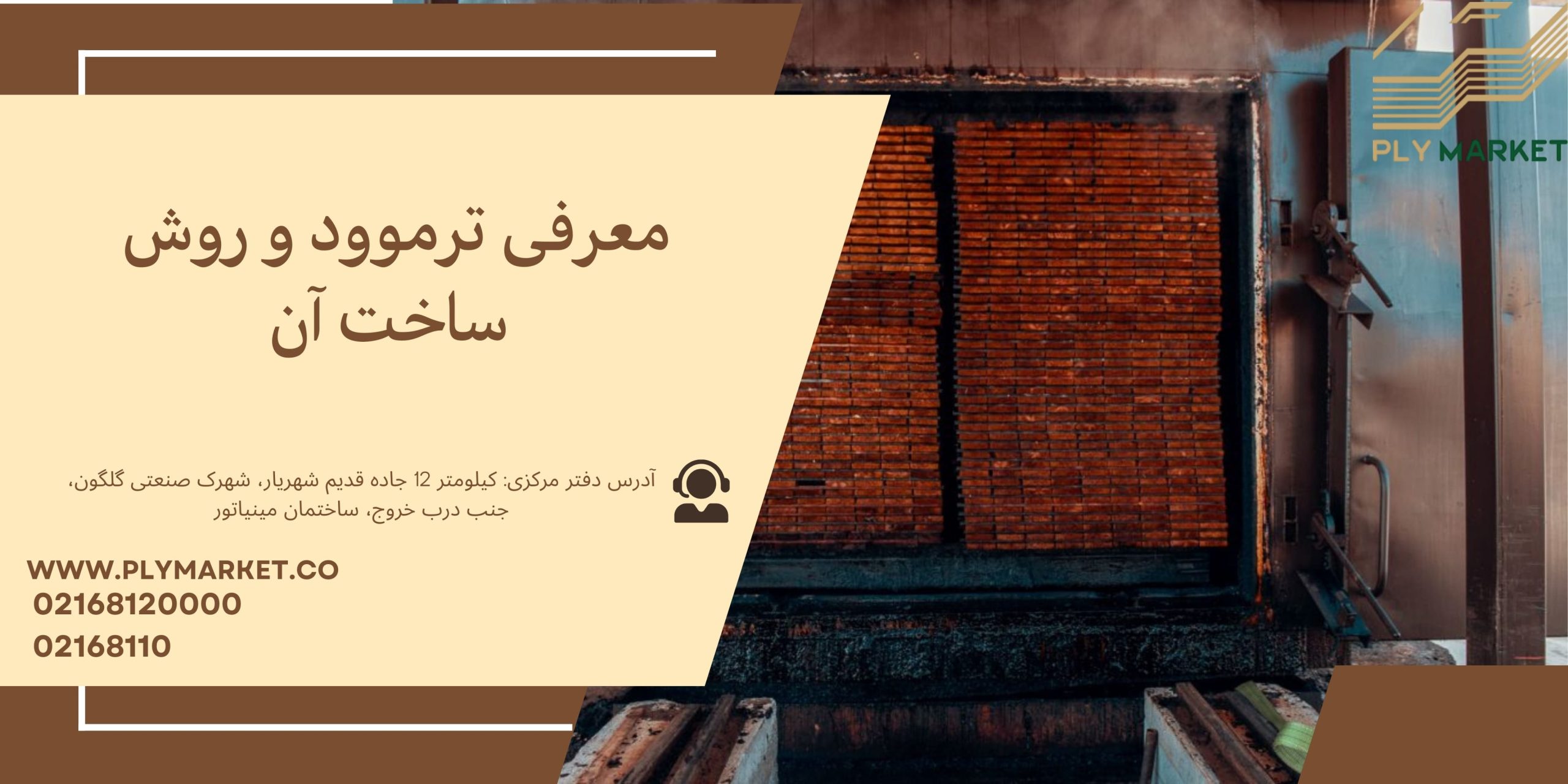 ترموود (چوب ترمو)؛ از ساختار تا کاربرد